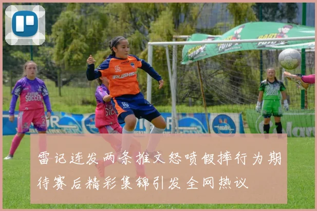 雷记连发两条推文怒喷假摔行为期待赛后精彩集锦引发全网热议